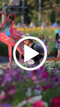 BIB:  <button type="button" onclick="openModal(27588683)" class="btn btn-primary btn-sm float-right" data-toggle="modal" data-target=".modal-high-quality">
                <i class="fa fa-download"></i> Download
                </button>